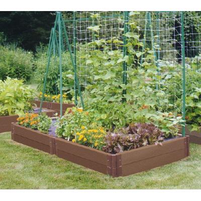 How You Can Create A Thriving Vegetable Garden!