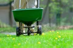 The Do’s and Don’ts of Summer Lawn Care