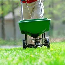 Make This the Year Crabgrass Loses!