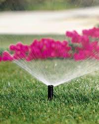 Irrigation Systems Save Time, Money, Aggravation…and Plants!