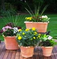 Limited Space? Try a Container Garden!