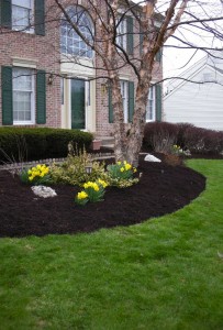 mulching-794901