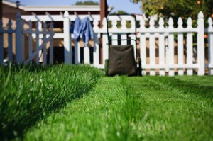 Start Planning Your Lawn Maintenance
