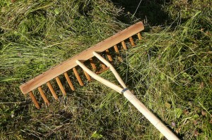 Raking Out Your Lawn