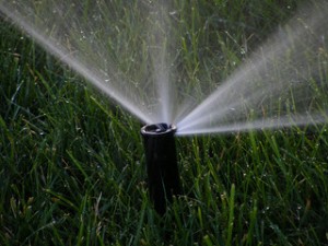 It’s Time to Fire Up Your Sprinkler System!