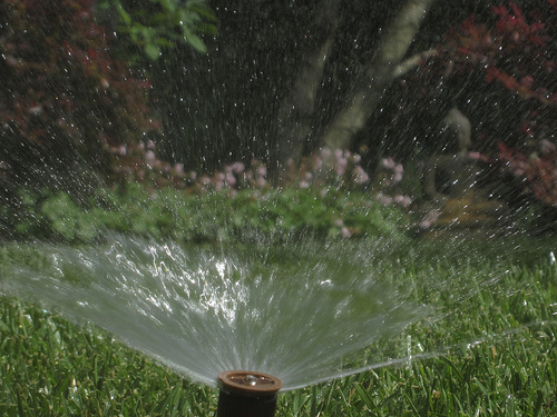 Overwatering A Lawn is Possible