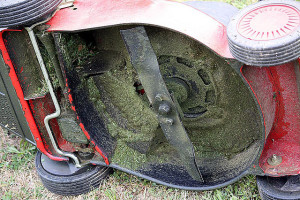 Winterize your lawn equipment when you put it away in storage