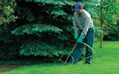 Fertilizing Lawns, Trees and Shrubs