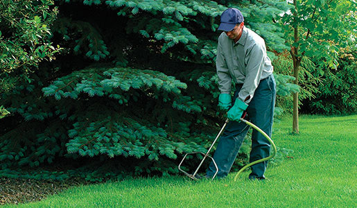 Fertilizing Lawns, Trees and Shrubs