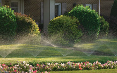 Proper Watering and Lawn Diseases