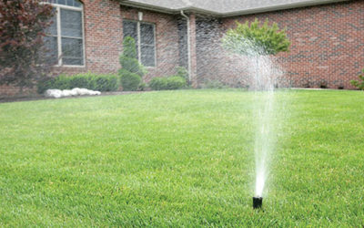 Benefits of an Irrigation System