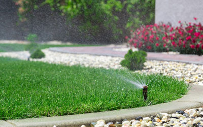 End Watering Woes… Automatically!