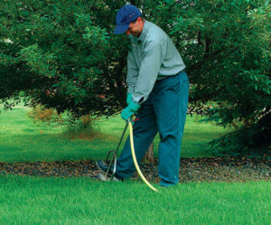 Root-Inject Your Ornamentals to Help Fight Decline