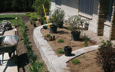 Landscape Renovation